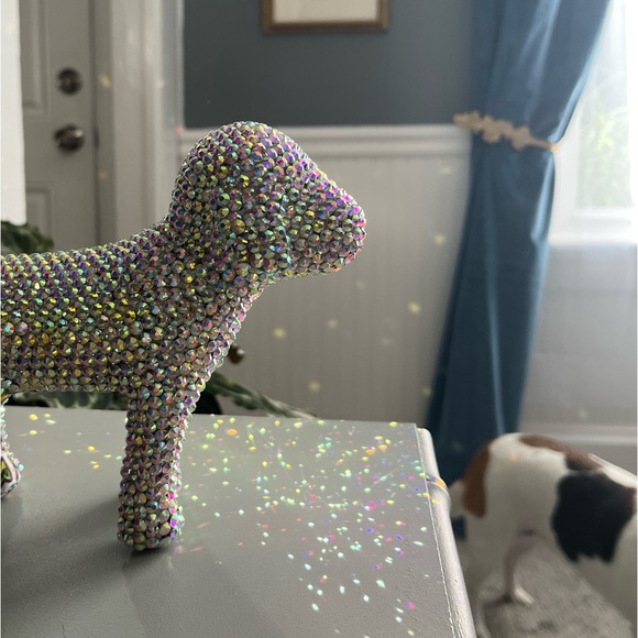 Rhinestone Dog - Picture 17 of 17